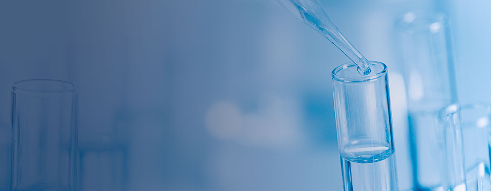 Transfar Chemical's Introduction